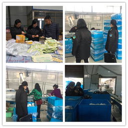 平川區(qū)衛(wèi)生監(jiān)督所開展節(jié)前消毒產(chǎn)品和餐飲具集中消毒專項(xiàng)檢查活動